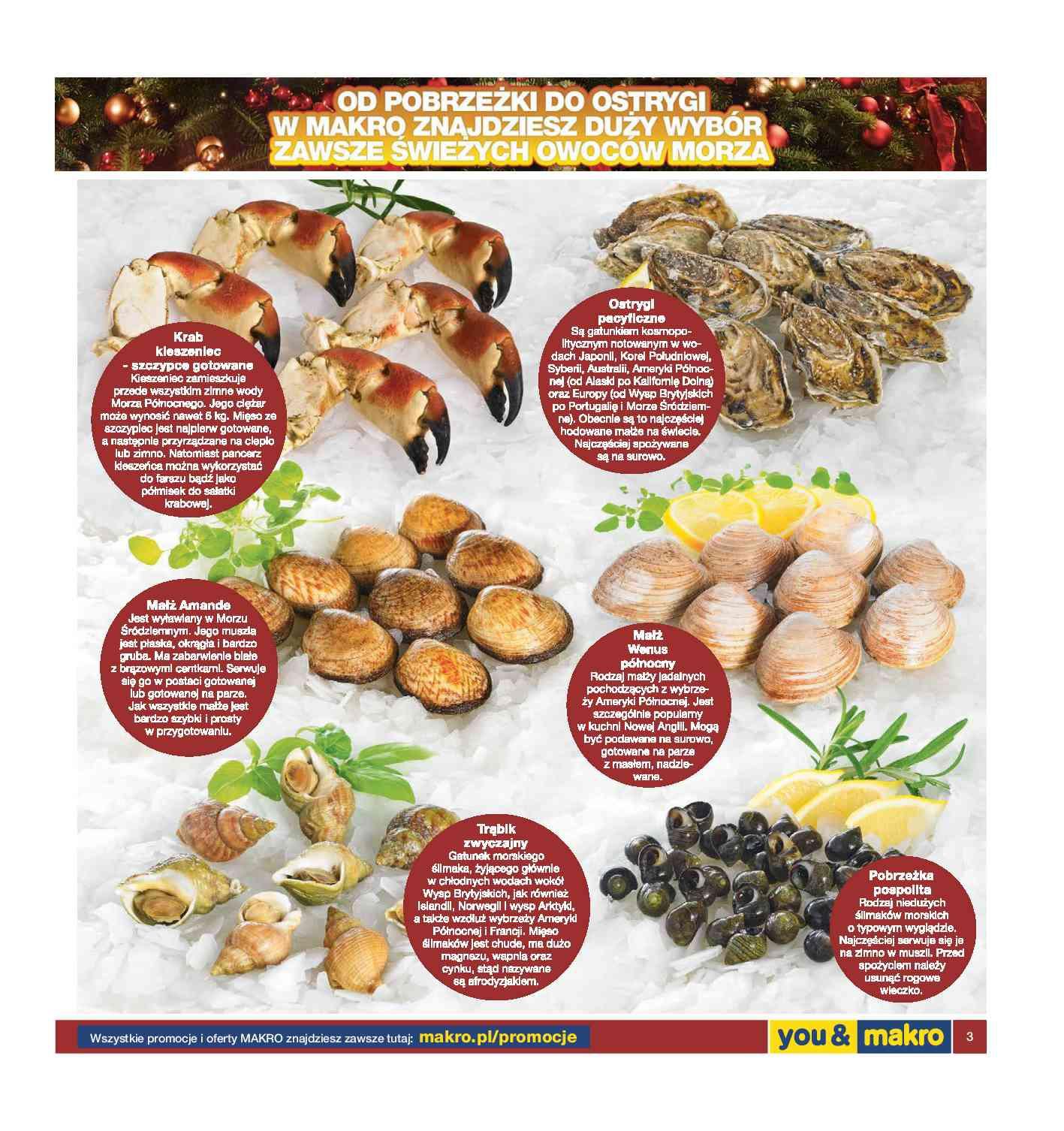 Gazetka promocyjna MAKRO str. 3