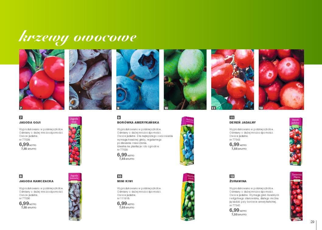 Gazetka promocyjna MAKRO str. 29